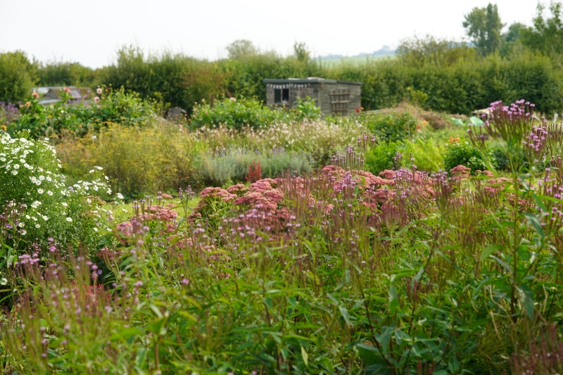 Howe Farm Flowers